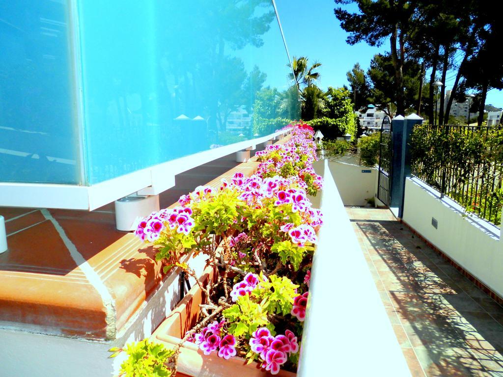 Apartamentos Petit Blau Пегера Екстер'єр фото